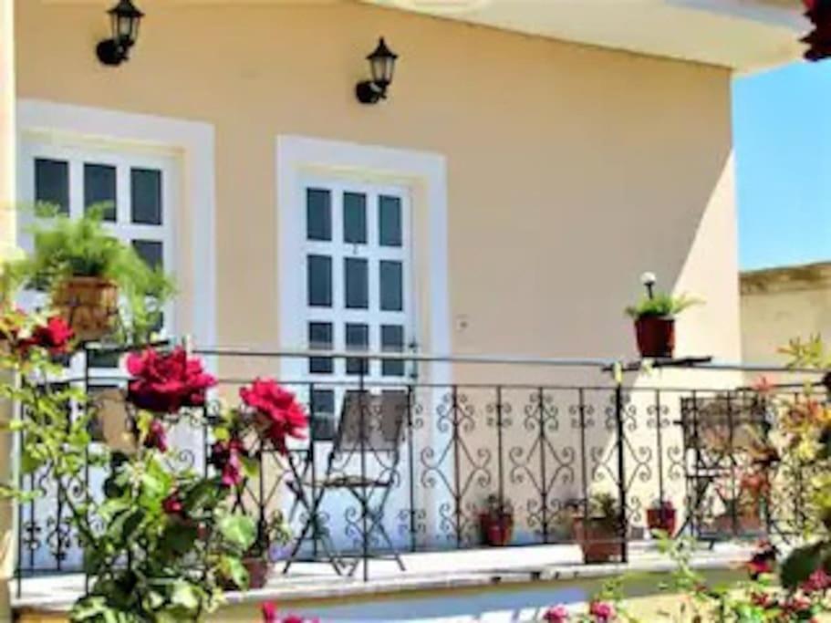 Toula's Garden-view 3 Apartament